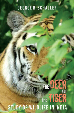Deer & The Tiger: Study of Wildlife In India