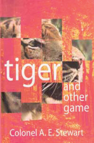 WILDLIFE, WILDLIFE IN INDIA , TIGER PROJECT IN INDIA, BIGCATS, WILDLIFE CLASSICS