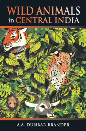 Indian wildlife, central India, wildlife conservation, management of wildlife, national park management WILDLIFE WRITING, WILDLIFE CLASSICS, NATURE & WILDLIFE, NATIONAL PARKS IN INDIA, WILDLIFE CONSERVATION AND MANAGEMENT, NATURE WRITING